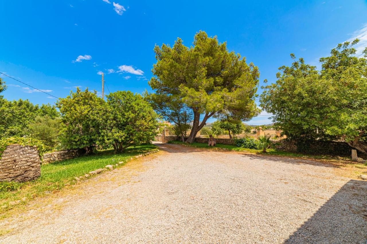 Villa Alcudia Town Exteriör bild